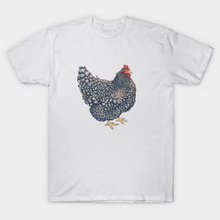 Barred Rock Chicken Illustration T-Shirt